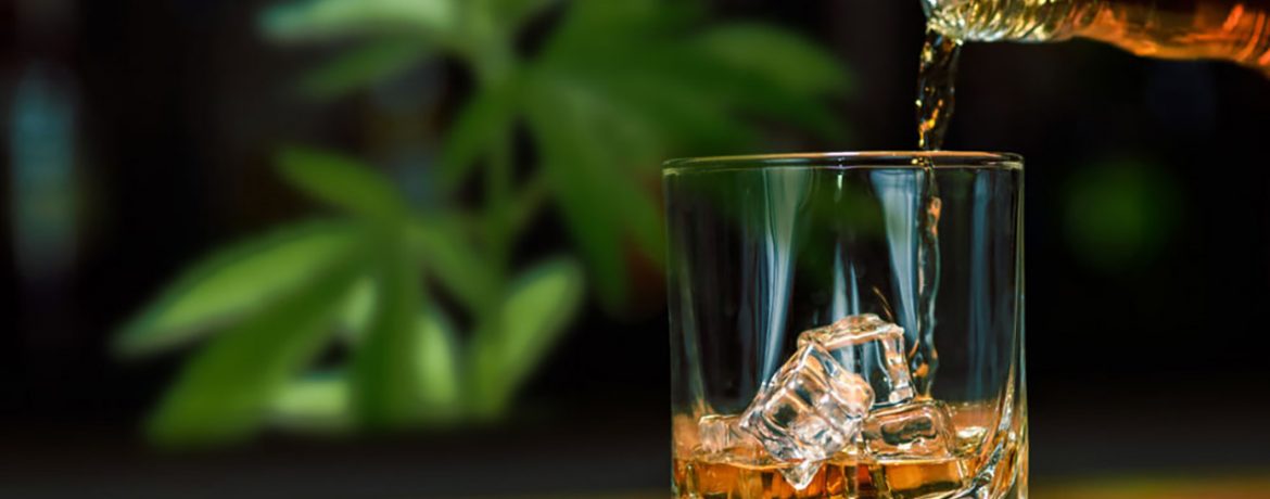 Марихуана VS Алкоголь или 10 фактов почему Шишки лучше Спирта